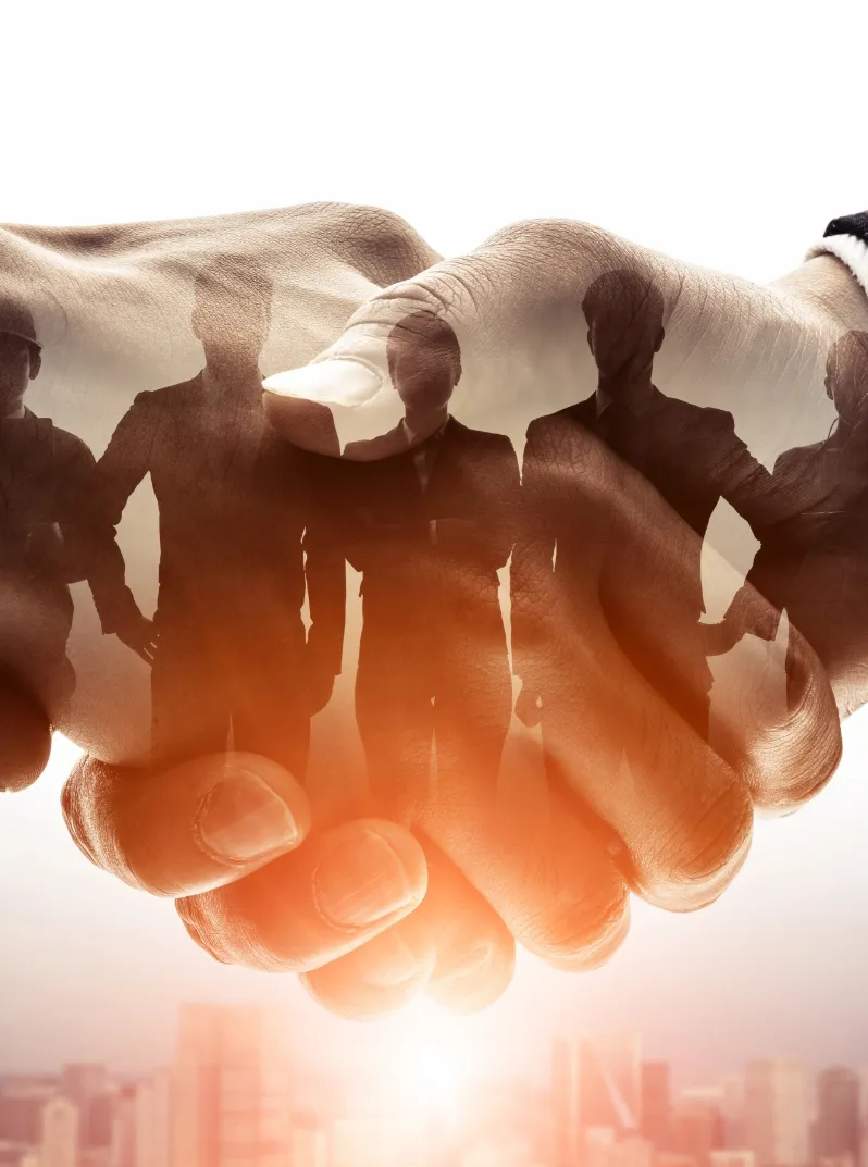 dealer-member-register